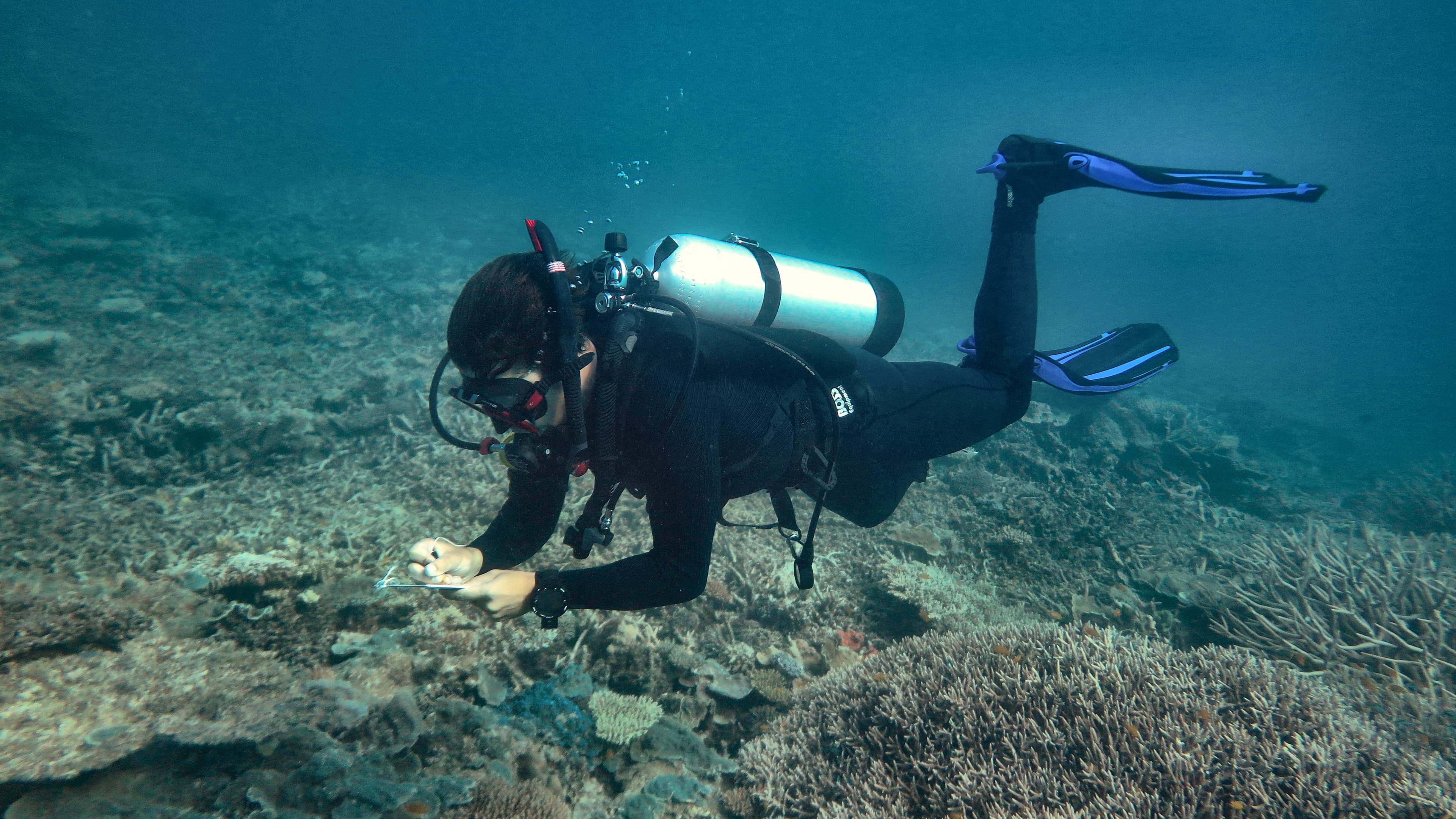 Jeremy on Moreton Bay