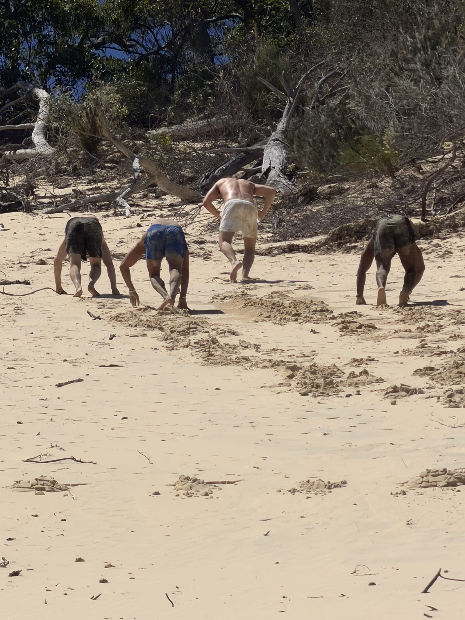 Moreton Bay moment — img-0129